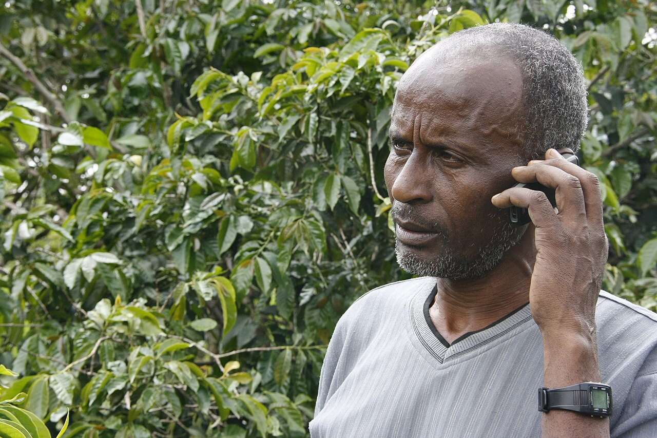 A farmer in a grey shirt talks on a mobile phone among coffee trees